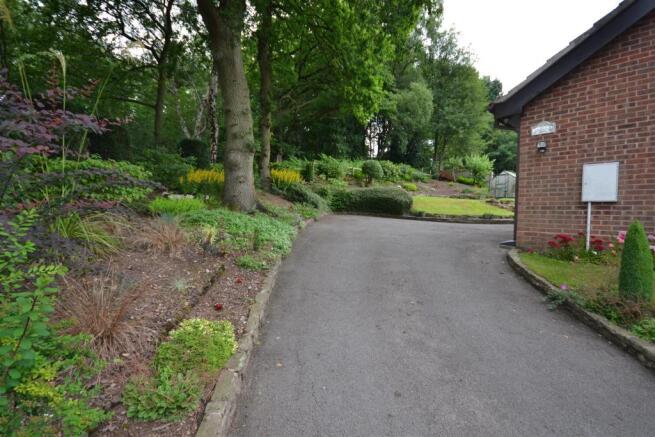Driveway & Garden