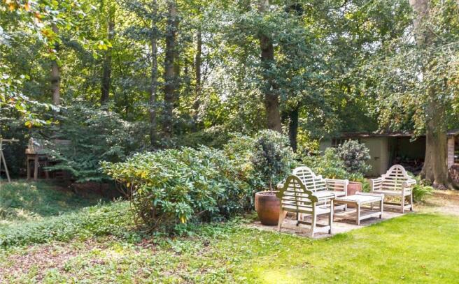 Wooded Area