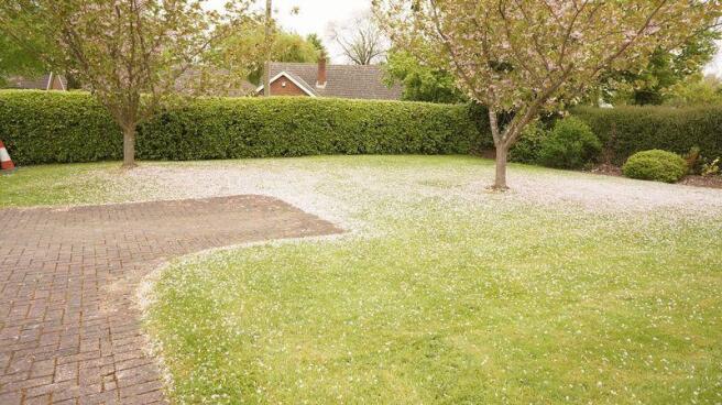 Front Gardens (1)