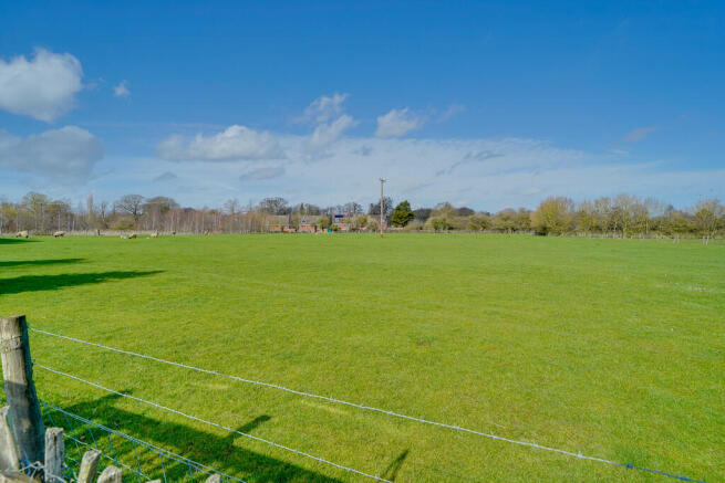 Field View