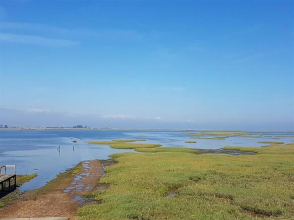 View Backwater.jpg
