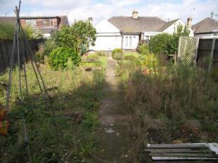Garden Looking Back