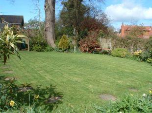 Garden in Summer
