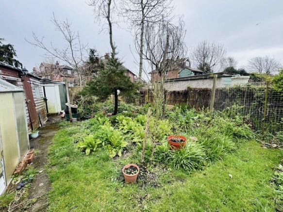 VEGETABLE PATCH
