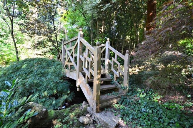 Bridge Mouse.JPG