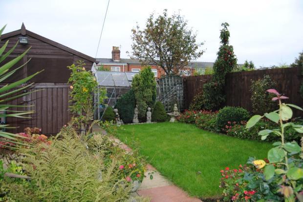 Photo 7