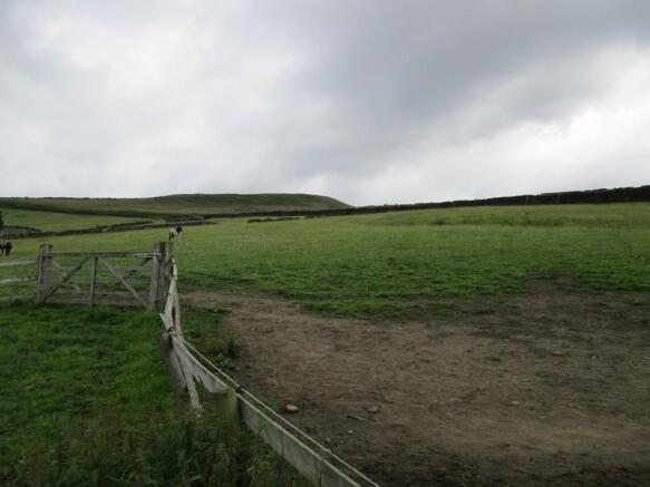 Photo 20