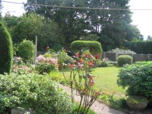View Of Garden