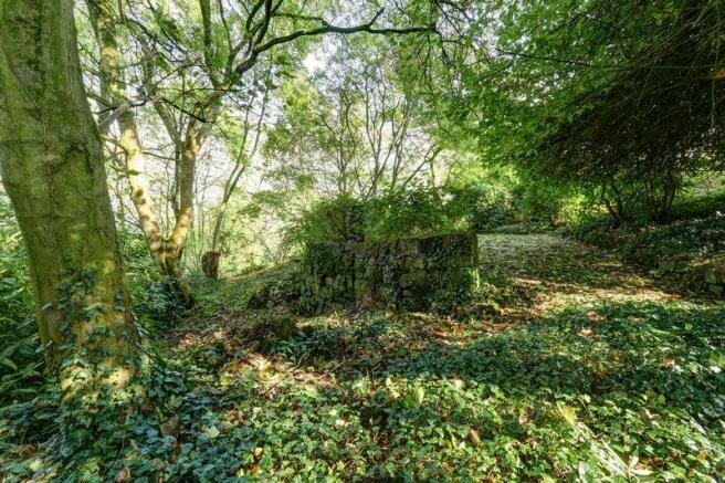Woodland