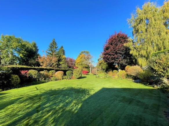 garden.jpg