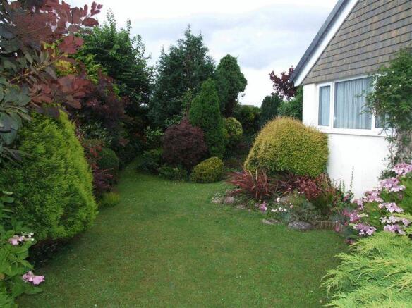 Front Garden 2