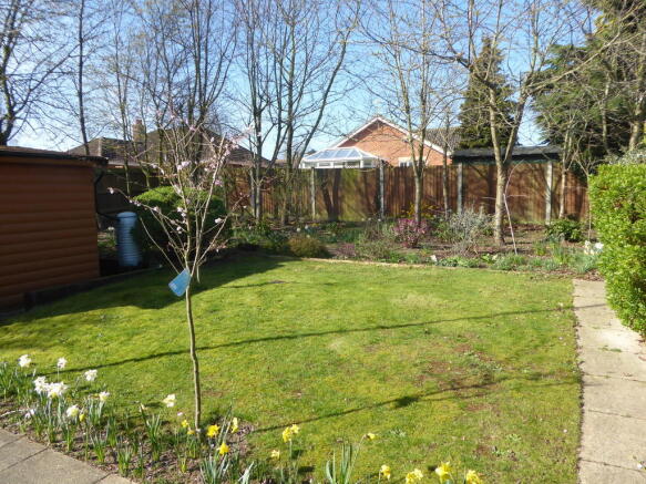 Photo 10