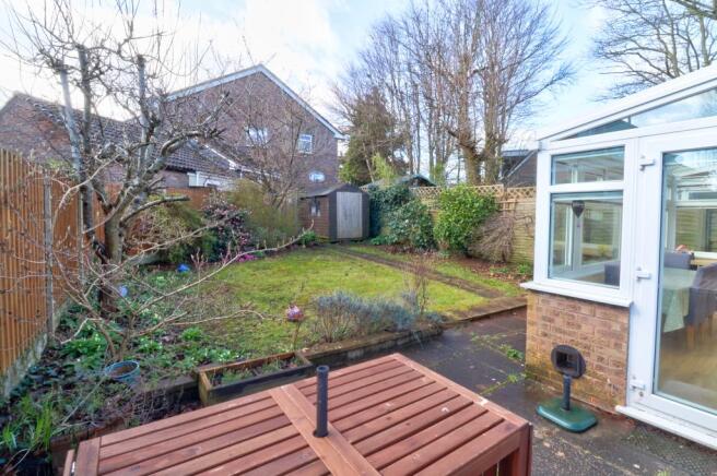 Back garden