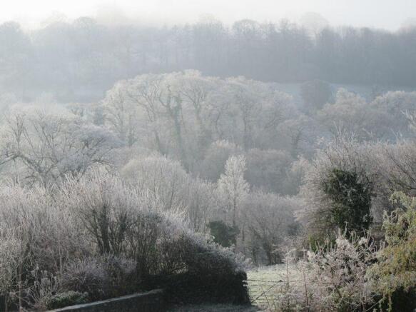Winter view