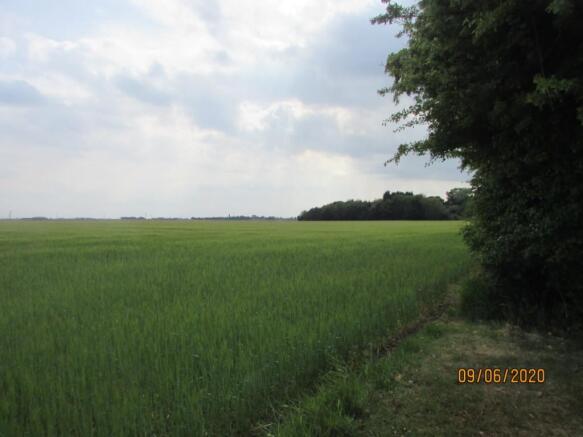 Photo 39