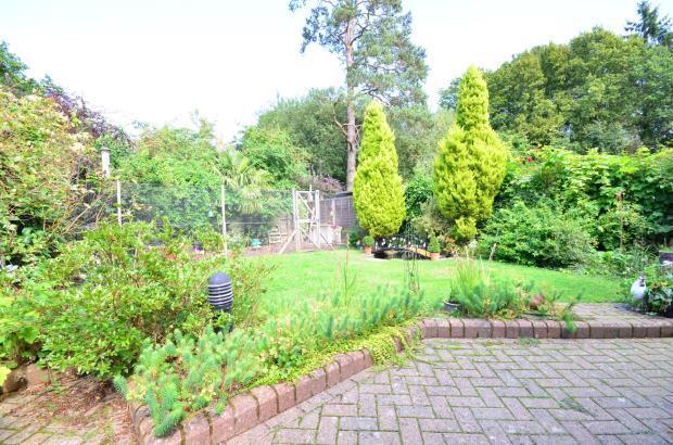 Garden Shot 1