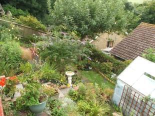 Rear Garden View 2