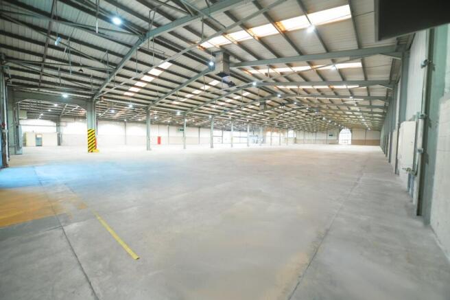 EDIT_DSC_6958 (3).png