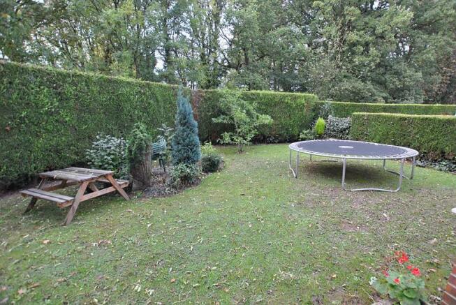 Garden 2