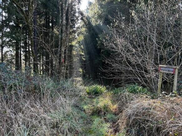 Sunshine through the