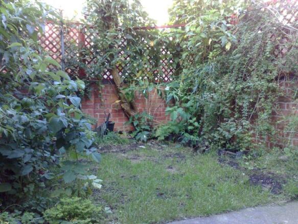 Photo 8