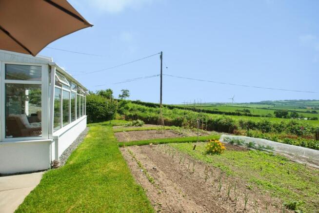 Side Garden
