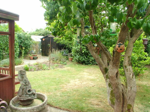 Photo 11