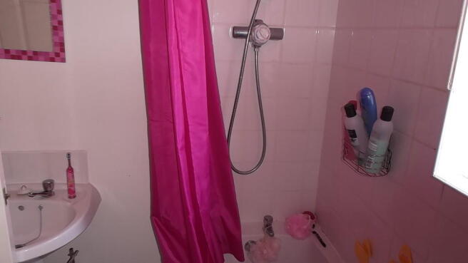 Bathroom Alt View