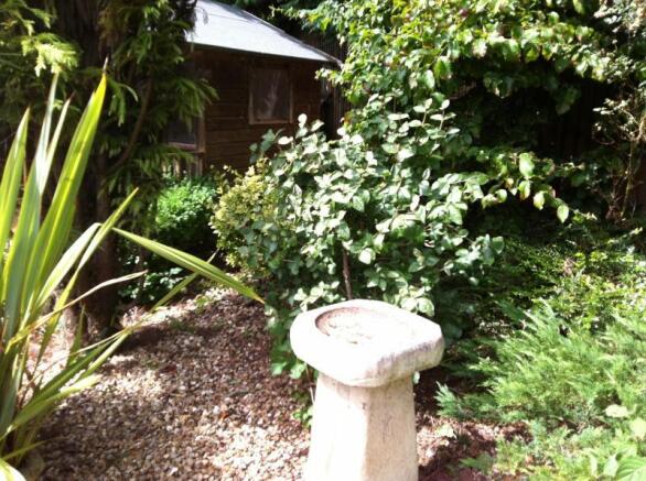 Photo 9