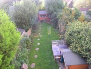 garden from above
