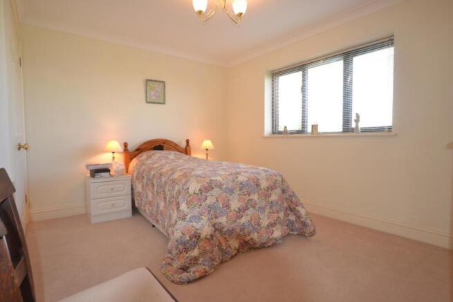 Picture 8