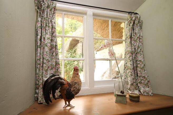 window