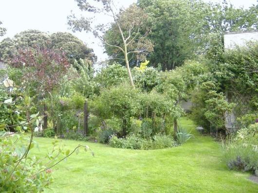 plot area