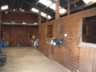 Stable