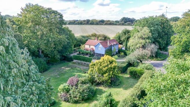Photo 55