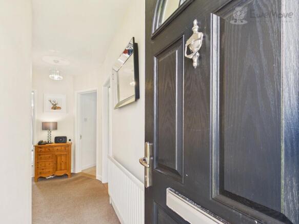 EWEMOVE SOUTH MOLTON - WINDERMERE