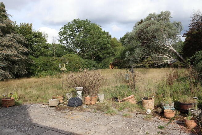 Photo 8