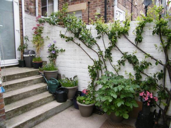 Yard