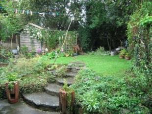 Photo 4