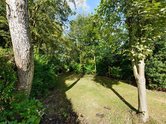 Garden at Back