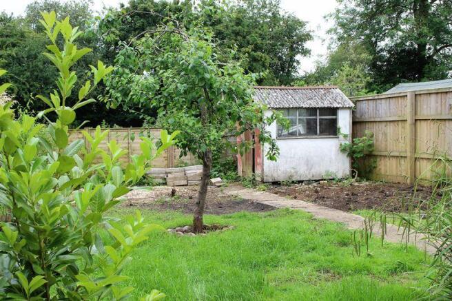 Garden 3