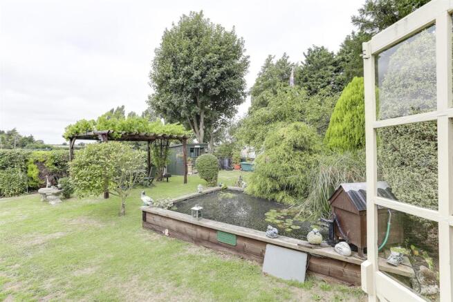 pond.jpg