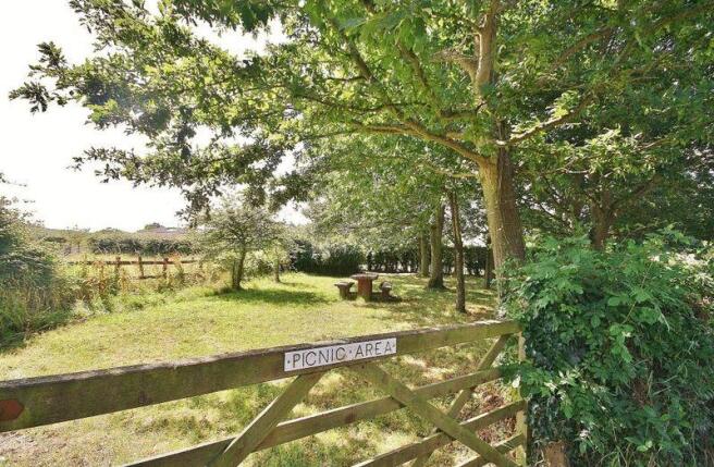 Picnic Area - ...