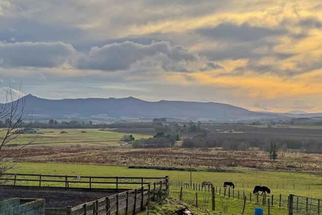 Bennachie View