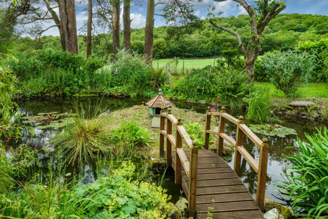 Pond