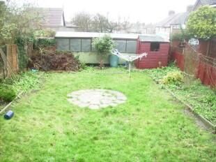 Garden with Shed