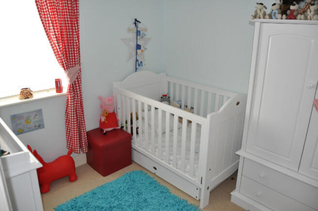 Picture 8