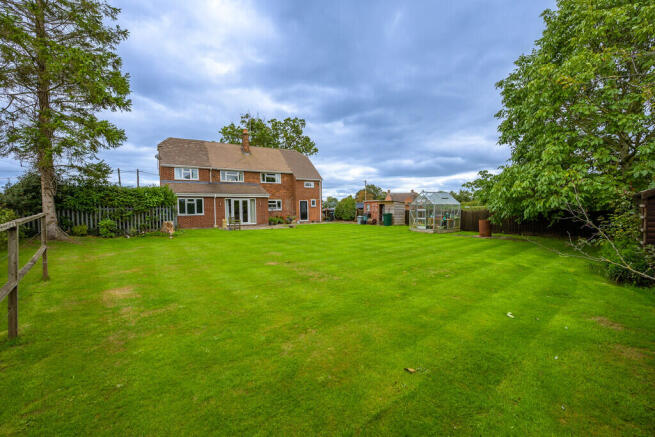 Back Garden