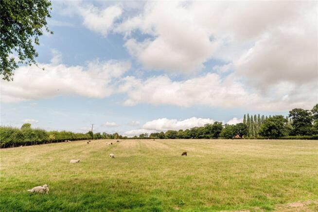 Countryside View