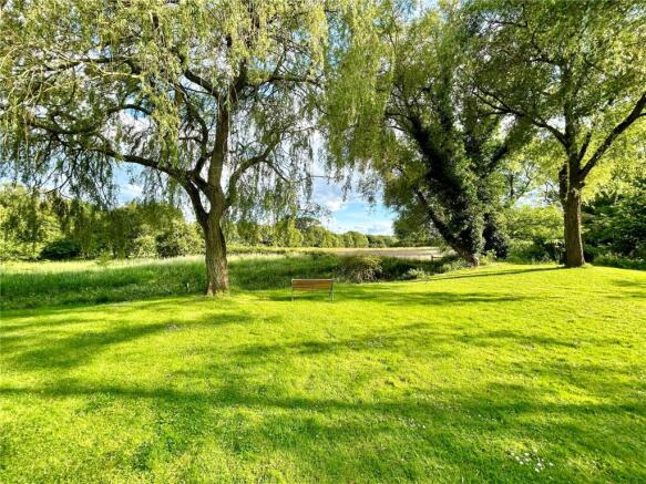 Meadows